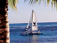 Hawaii Tours and Excursions Catamaran Snorkeling